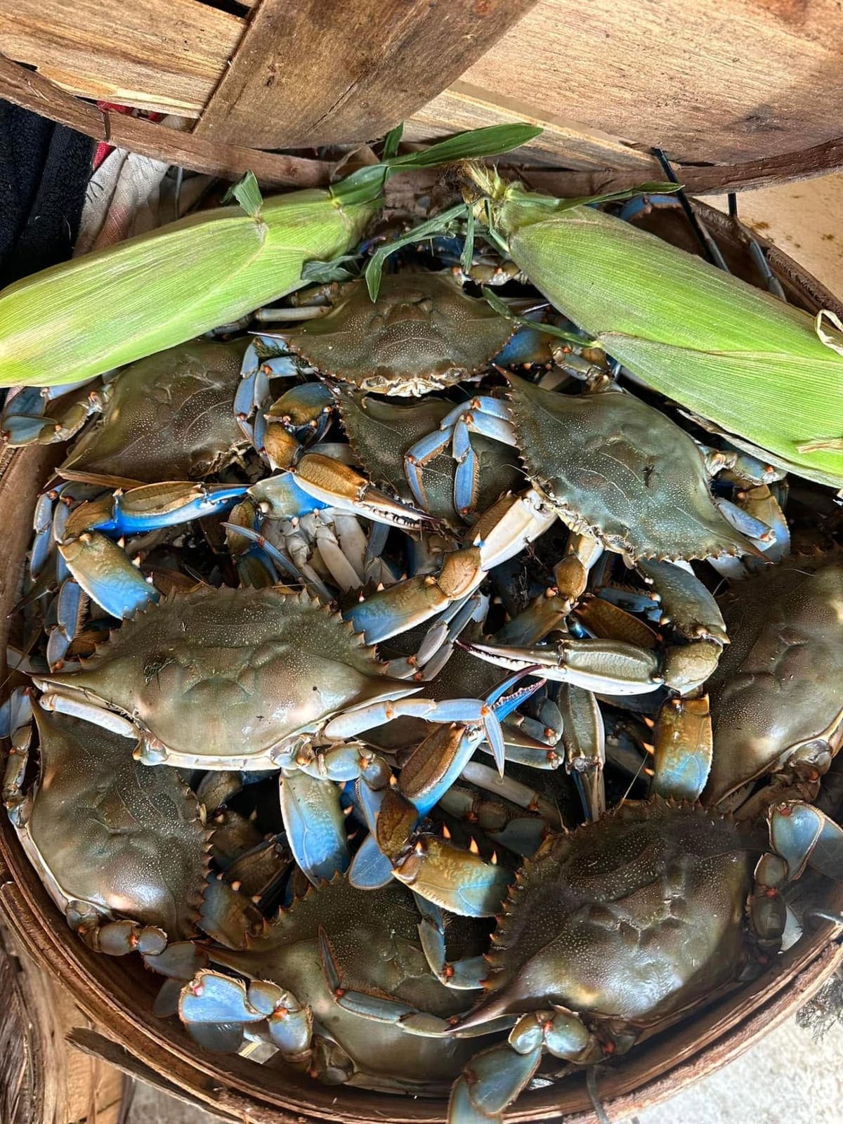 Live #1s, heavy and full